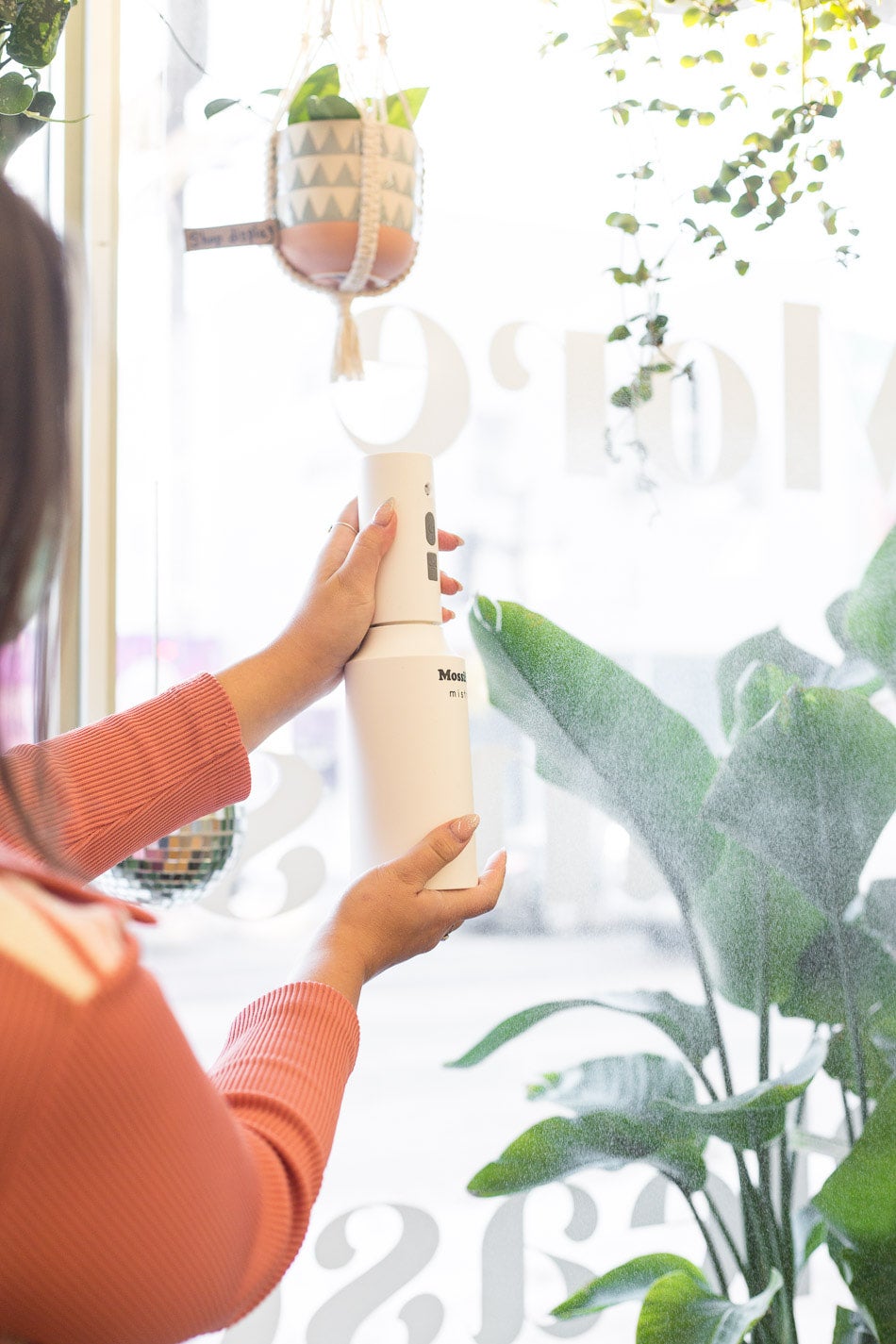 Buy Automatic Continuous Plant Mister Bloomscape